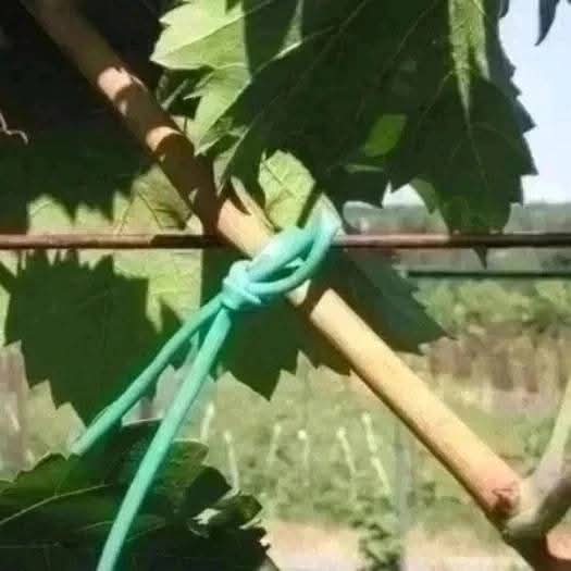 Ting baglama ipi. — şəkil 3